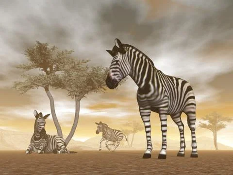 Zebras in the savannah - 3D render Stock Illustration
