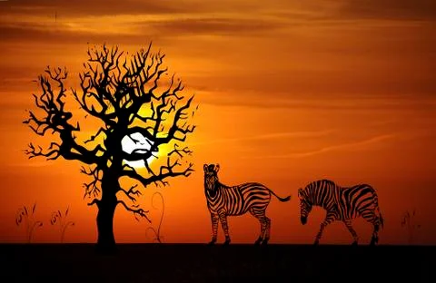 Zebras, sunset, illustration Stock Illustration
