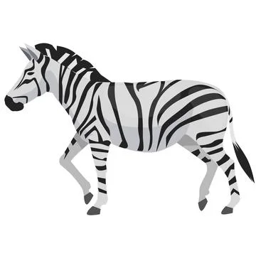 Zeebra Stock Illustration