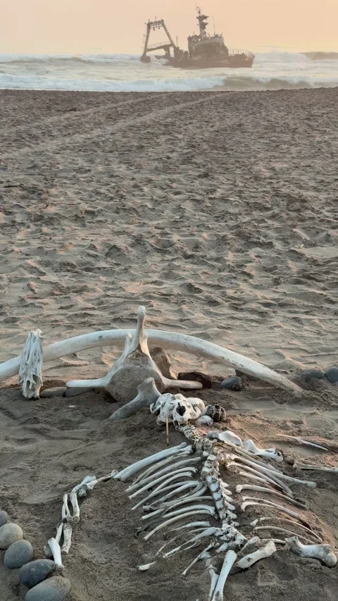 Zeila Shipwreck on the Skeleton Coast in Namibia, Africa Stock Footage 340890575