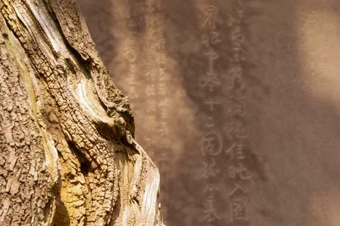 Zen abstract Stock-Fotos