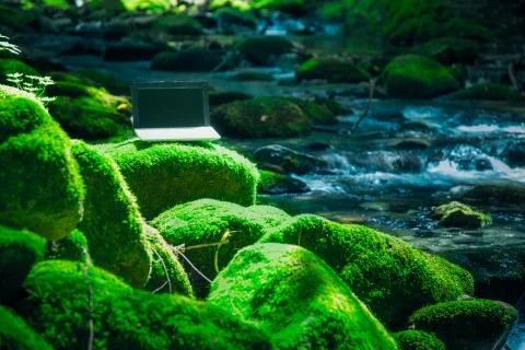 Zen Computing 写真素材