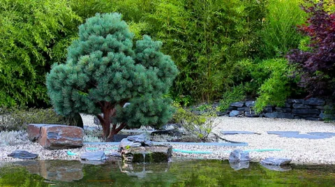 Zen garden HD Video stock 30180029