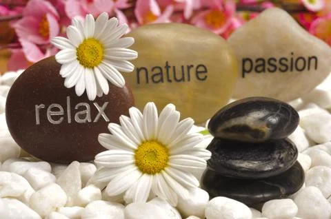Zen garden Stock Photos