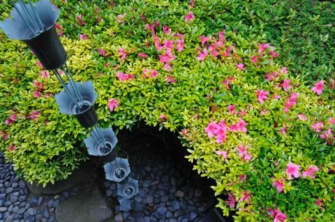 In zen garden Stock Photos
