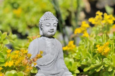 Zen garden Stock Photos