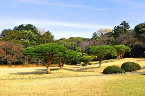 Zen garden Stock Photos