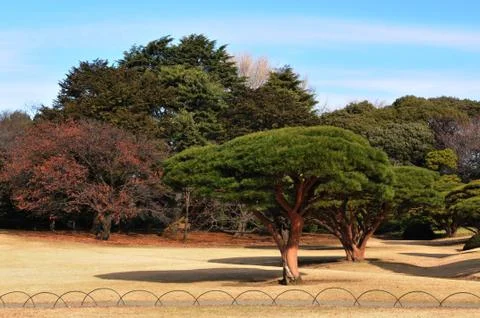 Zen garden Foto stock