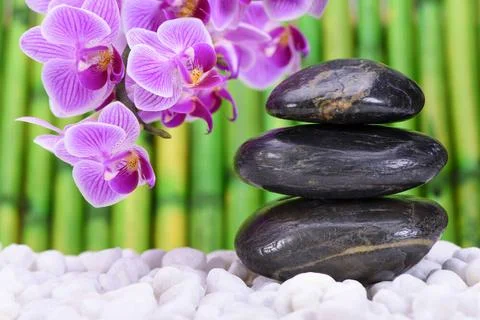 Beautiful miniature zen garden with incense sticks on table