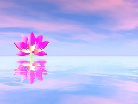 Zen lily flower - 3D render Stock Illustration