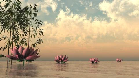 Zen lily flowers - 3D render Stock Illustration