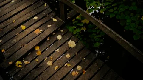 Zen path Stock Photos