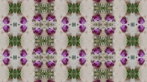 Zen pattern Stock Footage 265668572