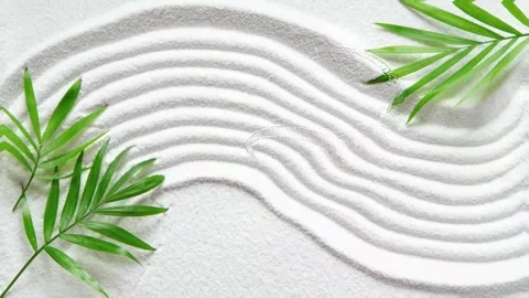 Zen pattern in white sand Stock Footage 288045900