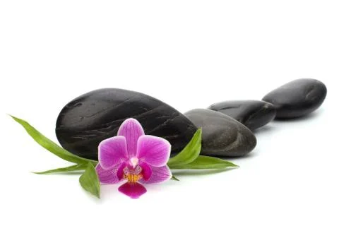 Zen pebbles path. spa and healthcare concept. Stock Photos