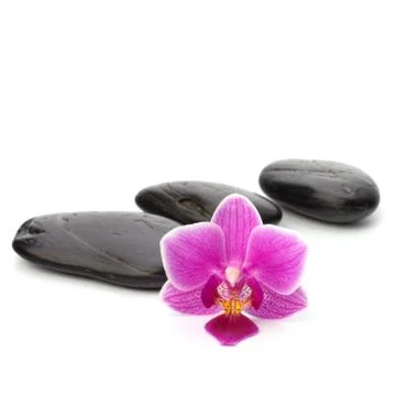 Zen pebbles path. spa and healthcare concept. Stock Photos