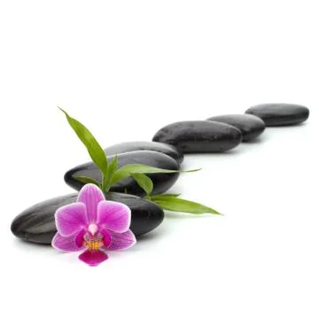 Zen pebbles path. spa and healthcare concept. Stock Photos