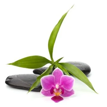 Zen pebbles path. spa and healthcare concept. Stock Photos