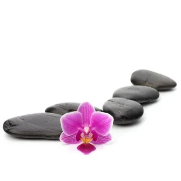 Zen pebbles path. spa and healthcare concept. Stock Photos