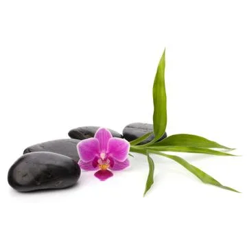 Zen pebbles path. spa and healthcare concept. Stock Photos