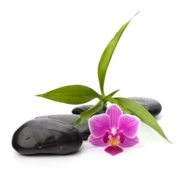 Zen pebbles path. spa and healthcare concept. Stock Photos