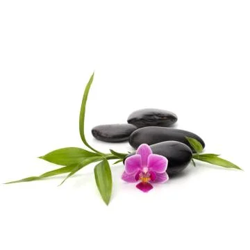 Zen pebbles path. spa and healthcare concept. Stock Photos