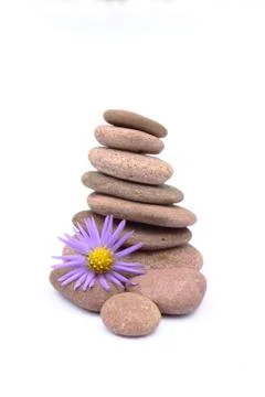 Zen Stock Photos