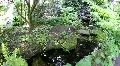 ZEN Relax, Botanic Garden 3129 HD Footage