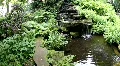 ZEN Relax, Botanic Garden 3698 HD Footage