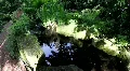 ZEN Relax, Botanic Garden 3705 HD Footage