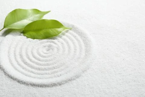 Zen rock garden. Circle pattern and green leaves on white sand Stock Photos