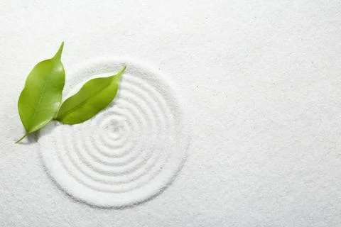 Zen rock garden. Circle pattern and green leaves on white sand, top view Stock Photos