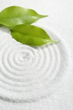 Zen rock garden. Circle pattern and green leaves on white sand Stock Photos