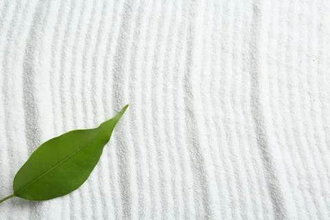 Zen rock garden. Wave pattern on white sand and green leaf, top view Foto stock