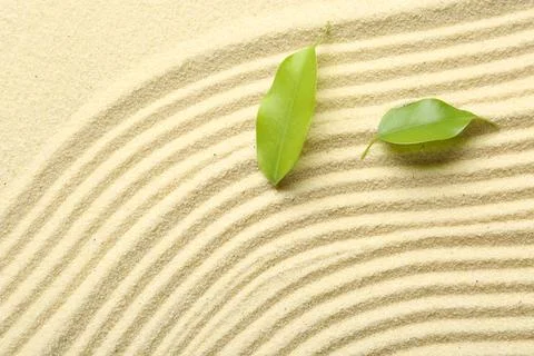 Zen rock garden. Wave pattern and green leaves on beige sand, top view 스톡 사진
