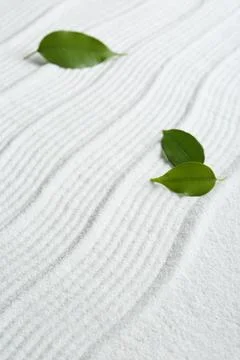 Zen rock garden. Wave pattern on white sand and green leaves, closeup Foto stock