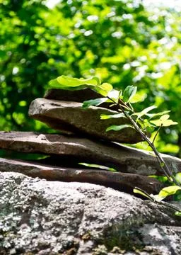 Zen rock Stock Photos