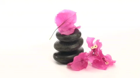 Zen rocks and buganvilla loop - HD Stock Footage 572558