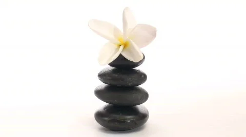 Zen rocks and frangipani loop V1 - HD Stock-Footage 572585