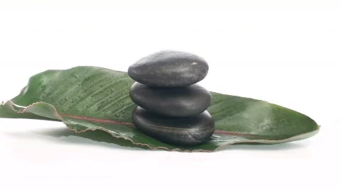 Zen rocks on leaf loop V1 - HD Stock Footage 572431