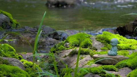 Zen space streams Stock Footage 242173864