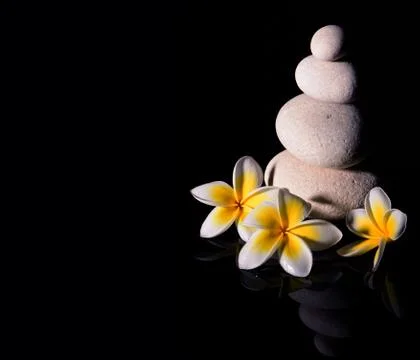 Zen stone pyramid with three white gentle frangapani plumeria flowers after r Stock Photos