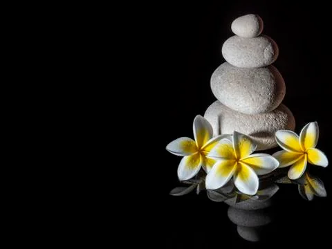 Zen stone pyramid with three white gentle frangapani plumeria flowers on the  Stock Photos