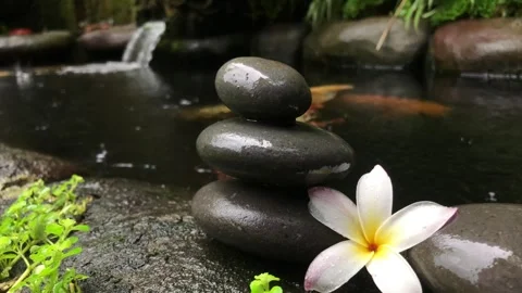 Zen Stone Stack with Frangipani Flower and Koi Fish in Tropical Water Garden 스톡 동영상 333245559