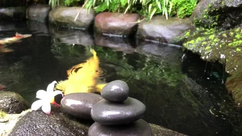 Zen Stone Stack with Frangipani Flower and Koi Fish in Tropical Water Garden 스톡 동영상 333245560