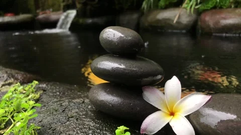 Zen Stone Stack with Frangipani Flower and Koi Fish in Tropical Water Garden Видео 333245562