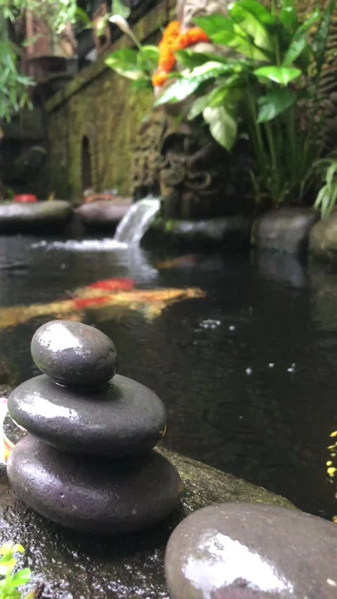 Zen Stone Stack with Frangipani Flower and Koi Fish in Tropical Water Garden 스톡 동영상 333245576