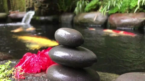 Zen Stone Stack with Red Hibiscus Flower by Koi Pond in Tropical Garden Vídeos de archivo 333245578