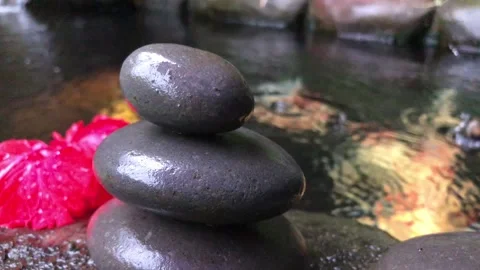 Zen Stone Stack with Red Hibiscus Flower by Koi Pond in Tropical Garden Видео 333245583