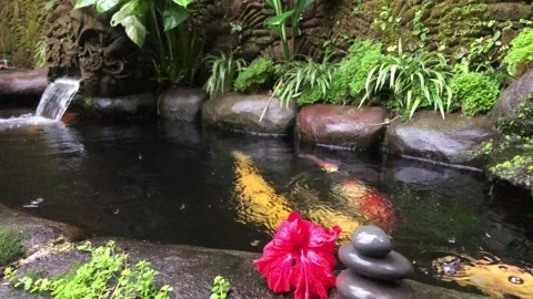 Zen Stone Stack with Red Hibiscus Flower by Koi Pond in Tropical Garden Видео 333245599